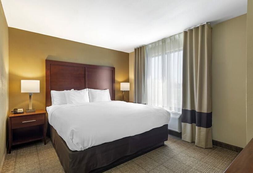 جناح, Comfort Suites Locust Grove Atlanta South