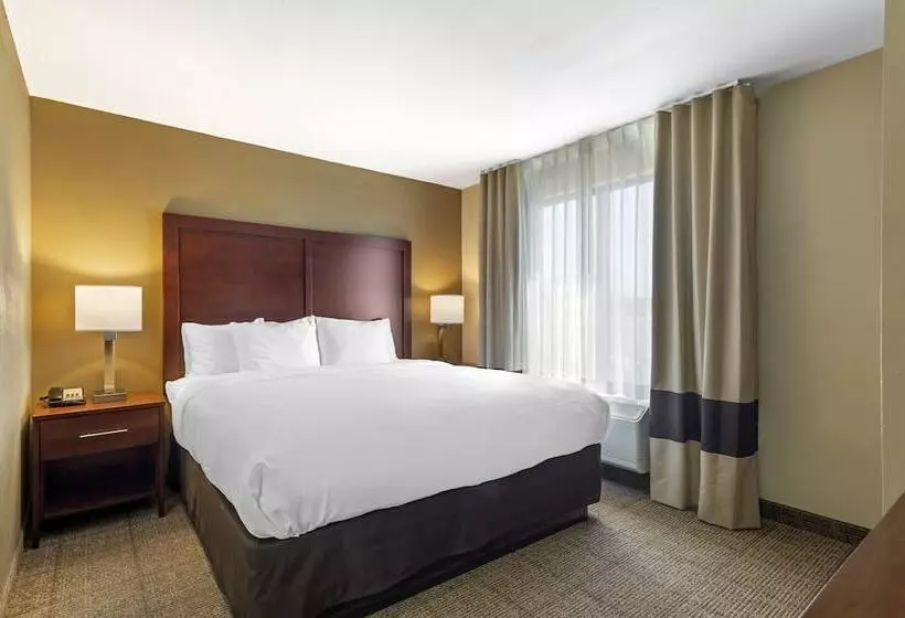 スイート, Comfort Suites Locust Grove Atlanta South