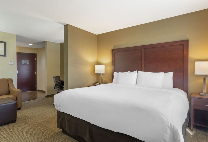 Люкс, Comfort Suites Locust Grove Atlanta South