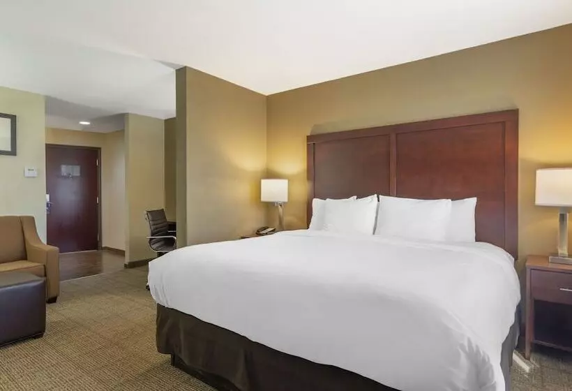 スイート, Comfort Suites Locust Grove Atlanta South
