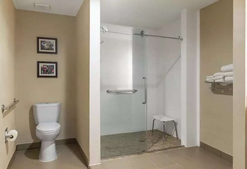 身障者適用スイートルーム, Comfort Suites Locust Grove Atlanta South