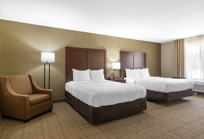 جناح لذوى الاحتياجات الخاصة, Comfort Suites Locust Grove Atlanta South