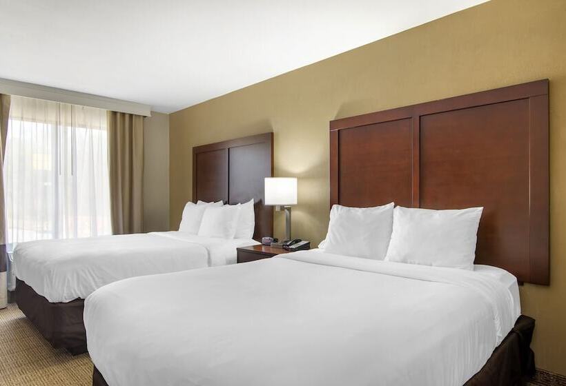 جناح, Comfort Suites Locust Grove Atlanta South