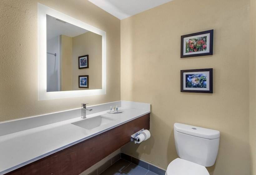 جناح, Comfort Suites Locust Grove Atlanta South