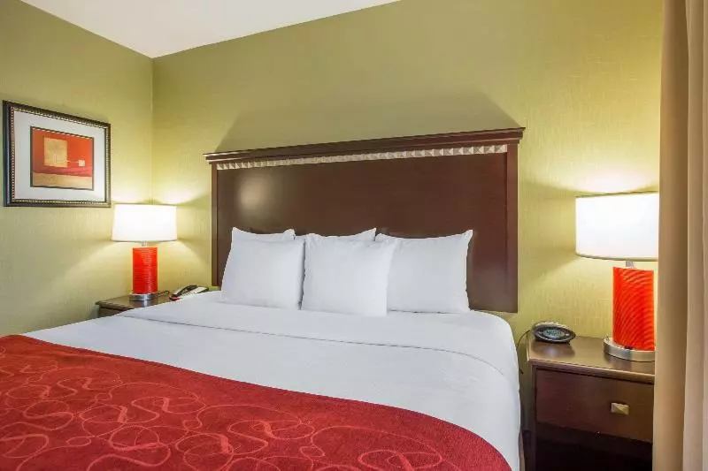 キングサイズベッドのスイートルーム, Comfort Suites Locust Grove Atlanta South
