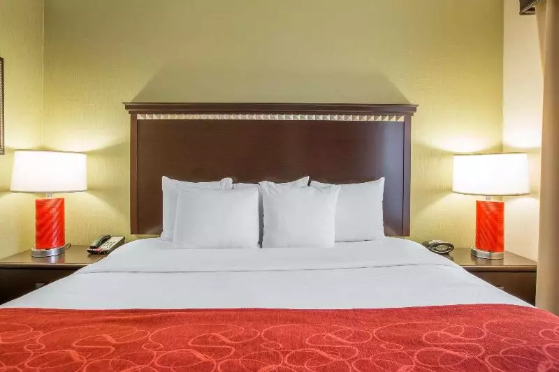 キングサイズベッドのスイートルーム, Comfort Suites Locust Grove Atlanta South