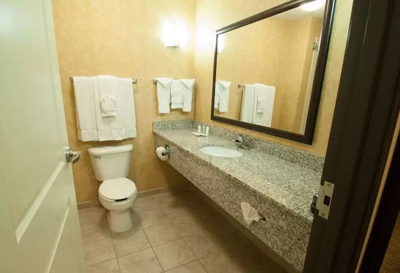 スイート, Comfort Suites Speedway  Kansas City