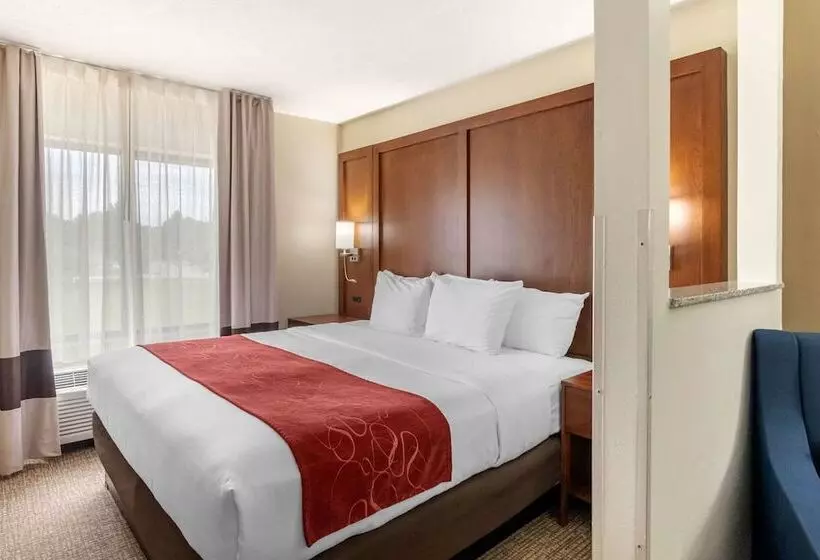 スイート, Comfort Suites Speedway  Kansas City
