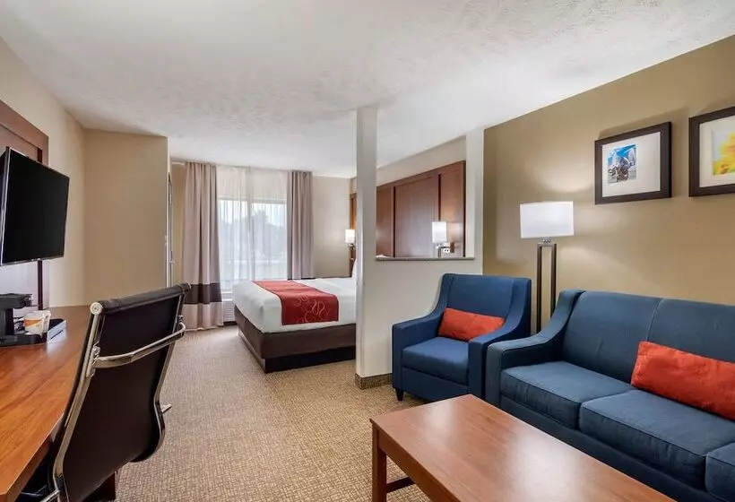 スイート, Comfort Suites Speedway  Kansas City