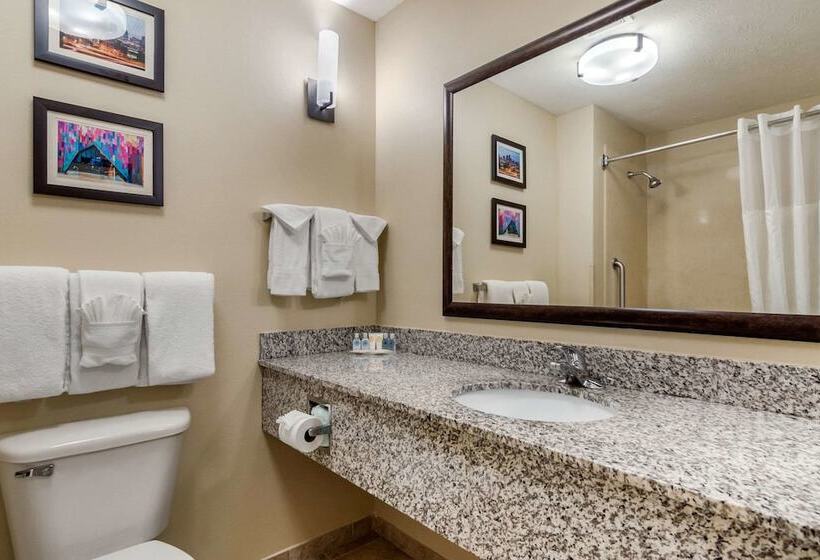 Люкс, Comfort Suites Speedway  Kansas City
