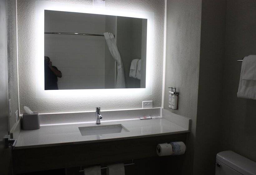 Люкс, Holiday Inn Express Hotel & Suites Shamrock North By Ihg