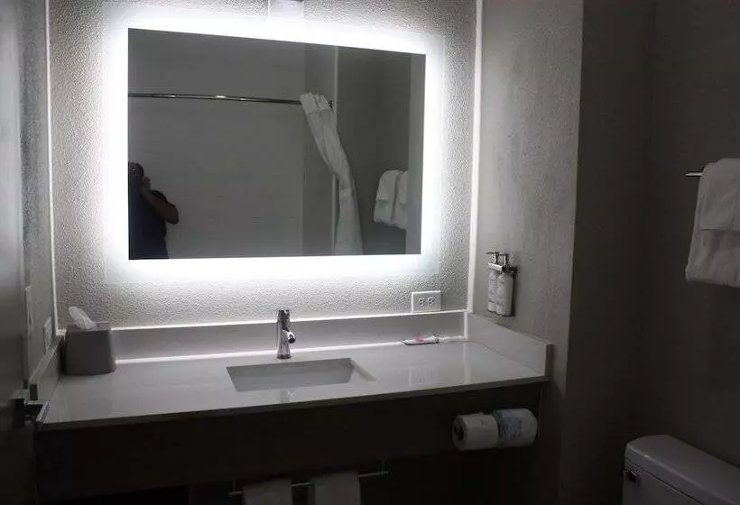 スイート, Holiday Inn Express Hotel & Suites Shamrock North By Ihg