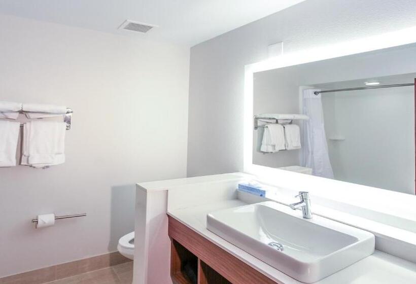 غرفة قياسية, Holiday Inn Express Daytona Beach   Speedway, An Ihg