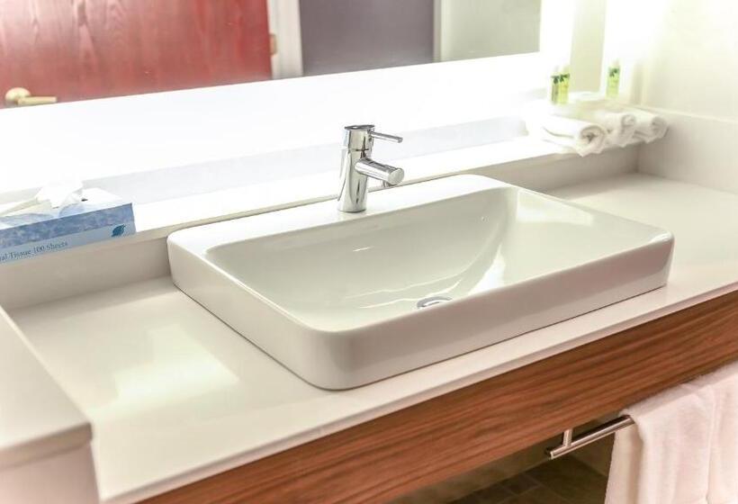 Стандартный Номер Кровать Кинг, Holiday Inn Express Daytona Beach   Speedway, An Ihg