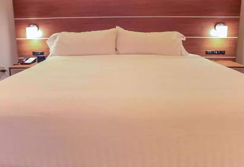 身障者適用キングサイズベッドルーム, Holiday Inn Express Daytona Beach   Speedway, An Ihg
