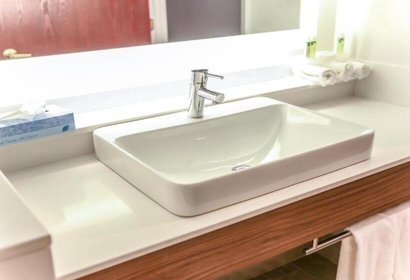 غرفة قياسية سرير كينج لذوى الإحتياجات الخاصة, Holiday Inn Express Daytona Beach   Speedway, An Ihg