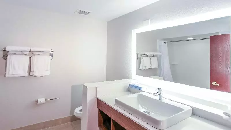 キングサイズベッドのスタンダードルーム, Holiday Inn Express Daytona Beach   Speedway, An Ihg