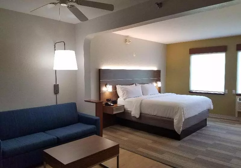 キングサイズベッドのスタンダードルーム, Holiday Inn Express Daytona Beach   Speedway, An Ihg