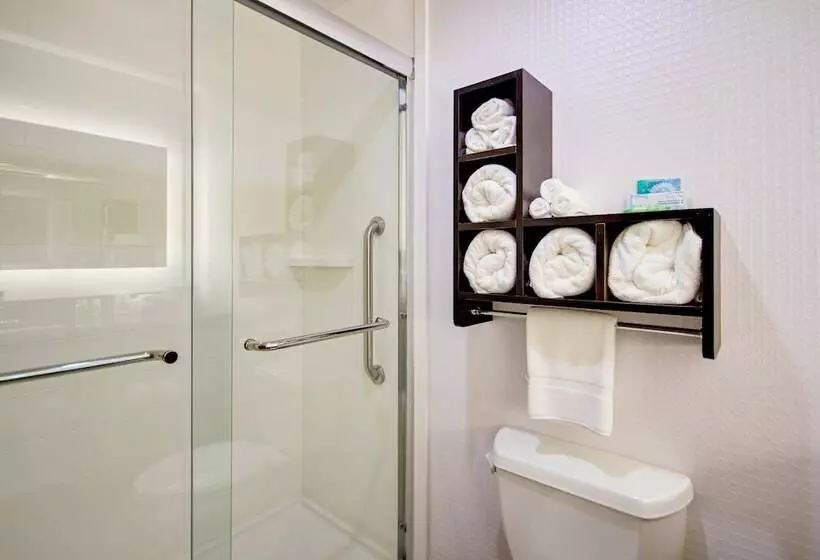 スタンダードルーム, Holiday Inn Express Dublin, An Ihg