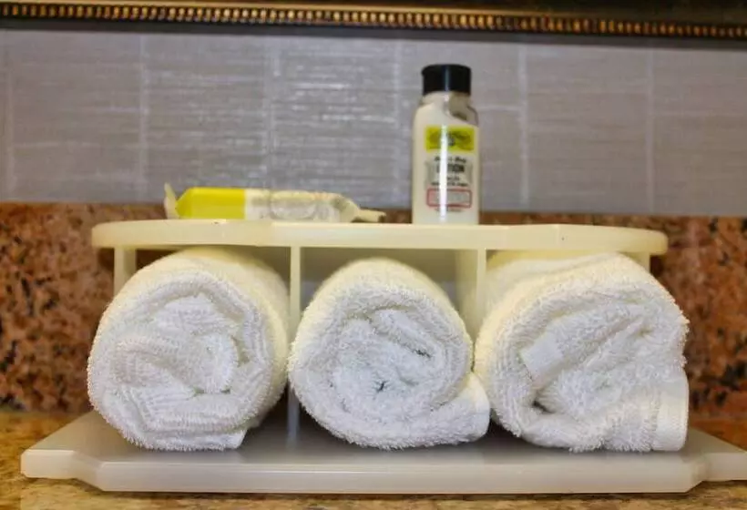 Standard-huone, Holiday Inn Express Palestine, An Ihg