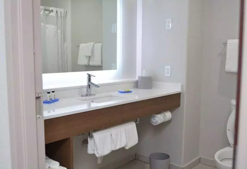 スイート, Holiday Inn Express Seguin, An Ihg
