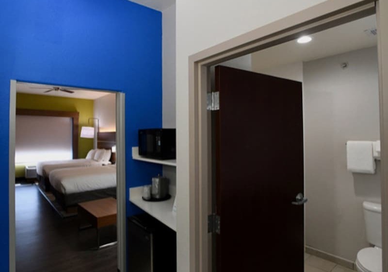스위트, Holiday Inn Express Seguin, An Ihg