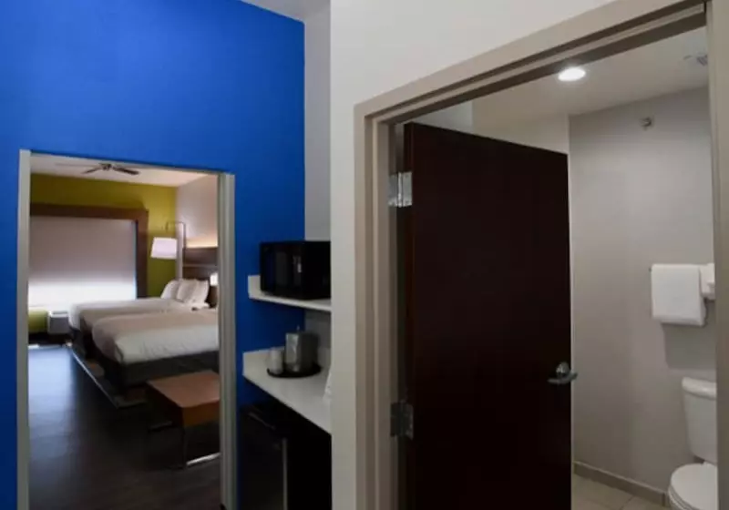スイート, Holiday Inn Express Seguin, An Ihg