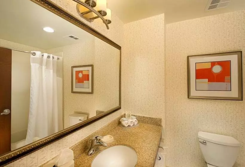 Sviitti, Holiday Inn Express Hotel & Suites Uvalde By Ihg