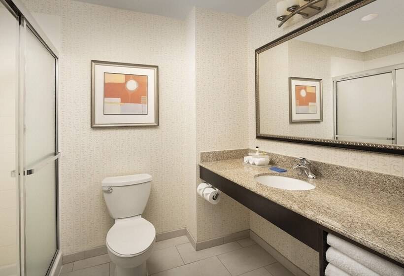 Suite, Holiday Inn Express Hotel & Suites Uvalde By Ihg