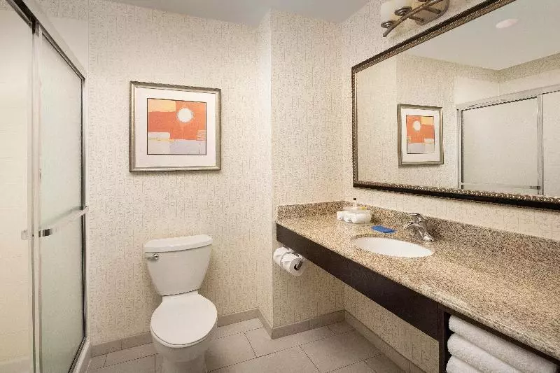Sviitti King-vuode, Holiday Inn Express Hotel & Suites Uvalde By Ihg