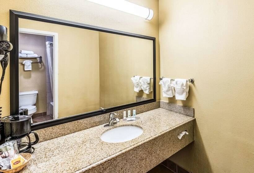 Номер Стандарт 2 Двуспальные Кровати, Quality Inn