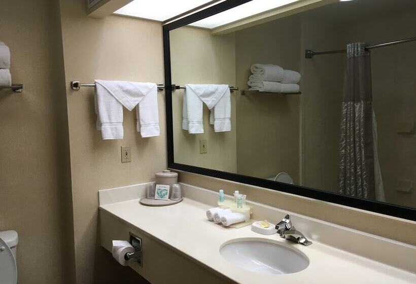 스탠다드 싱글 룸 싱글침대, Round Hill Inn