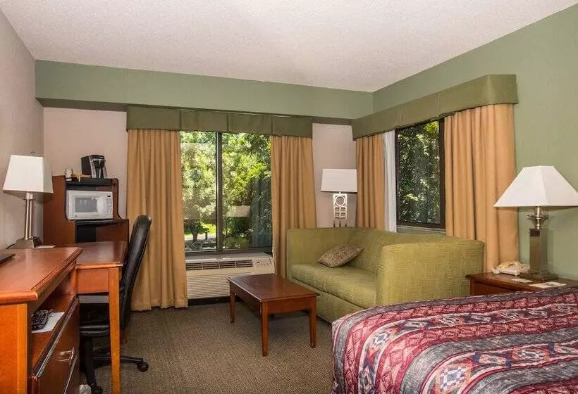 Standard Single Room Single Bed, Round Hill Inn