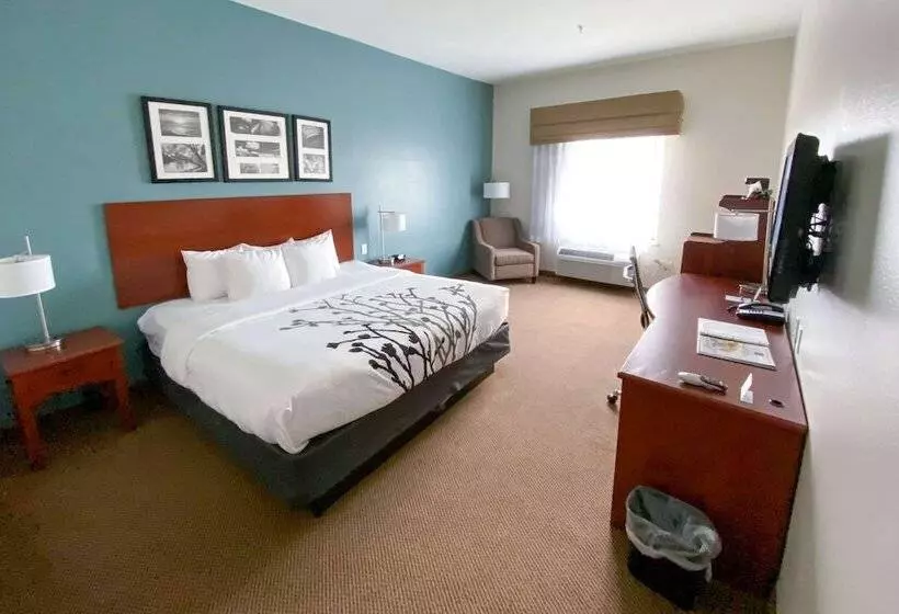 身障者適用スタンダードルーム, Sleep Inn And Suites Pearland   Houston South