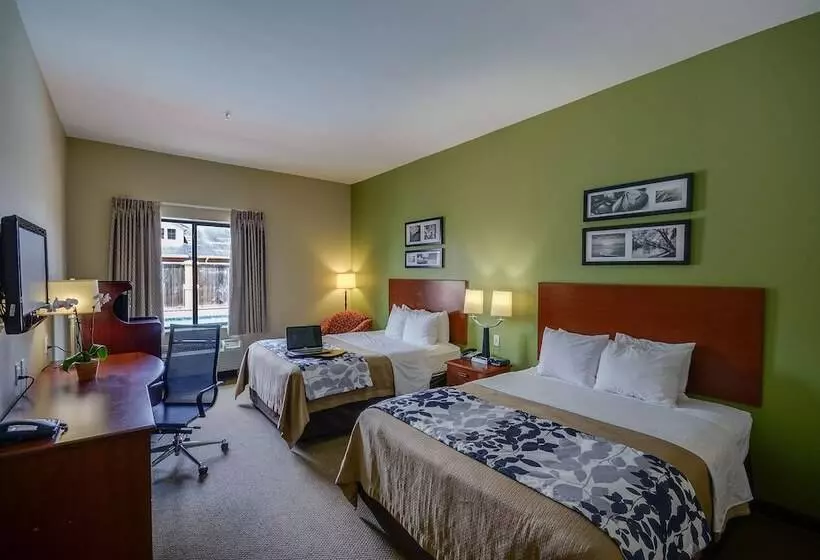 身障者適用スタンダードルーム, Sleep Inn And Suites Pearland   Houston South