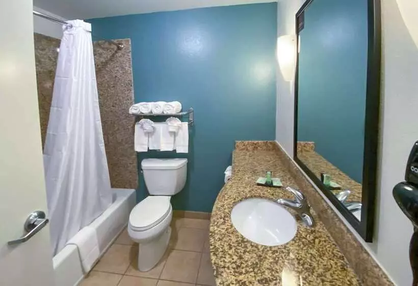 身障者適用スイートルーム, Sleep Inn And Suites Pearland   Houston South