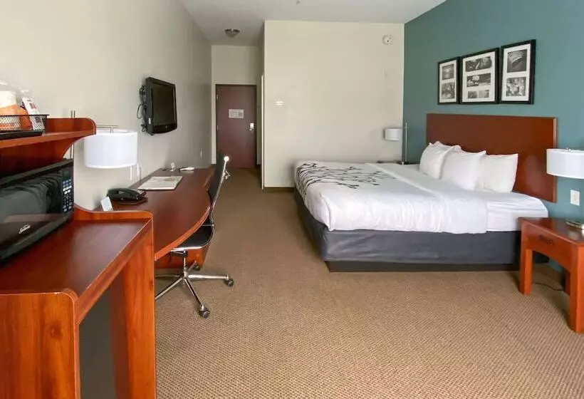 身障者適用スイートルーム, Sleep Inn And Suites Pearland   Houston South