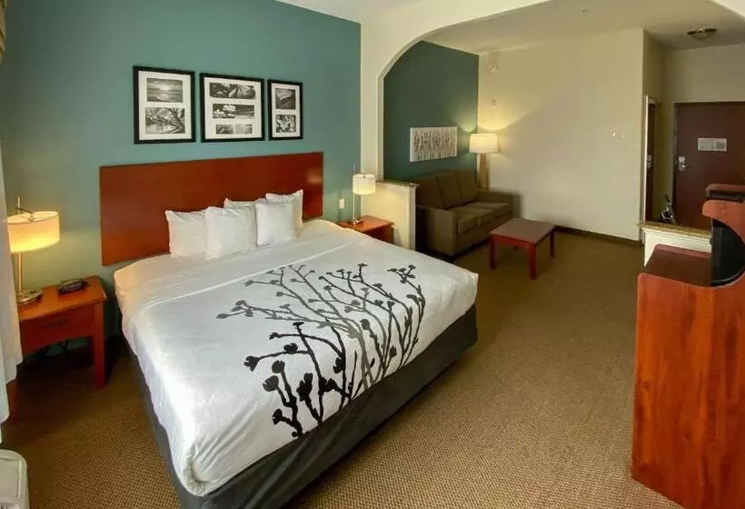 キングサイズベッドのデラックススイート, Sleep Inn And Suites Pearland   Houston South