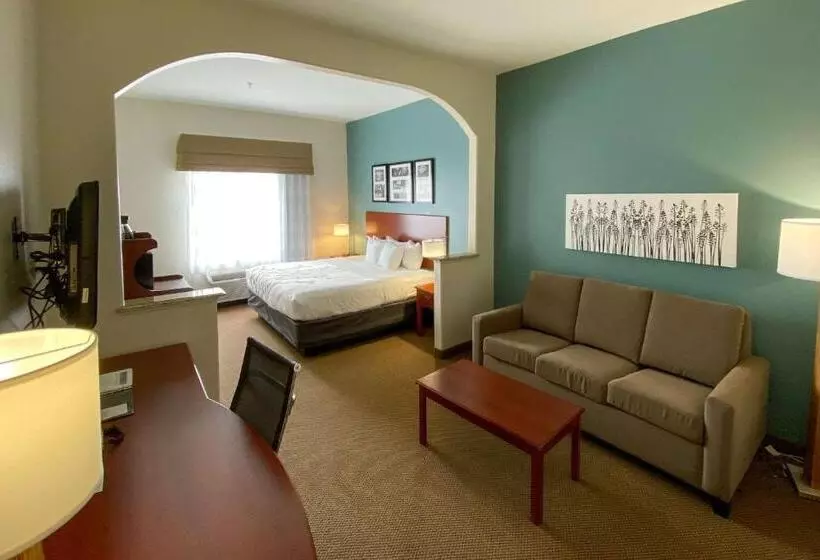 キングサイズベッドのデラックススイート, Sleep Inn And Suites Pearland   Houston South