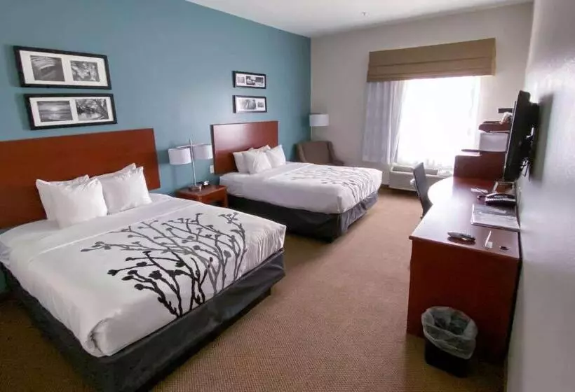 デラックスルーム, Sleep Inn And Suites Pearland   Houston South