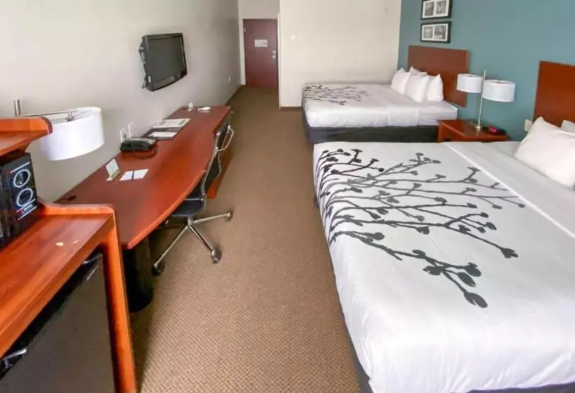 デラックスルーム, Sleep Inn And Suites Pearland   Houston South