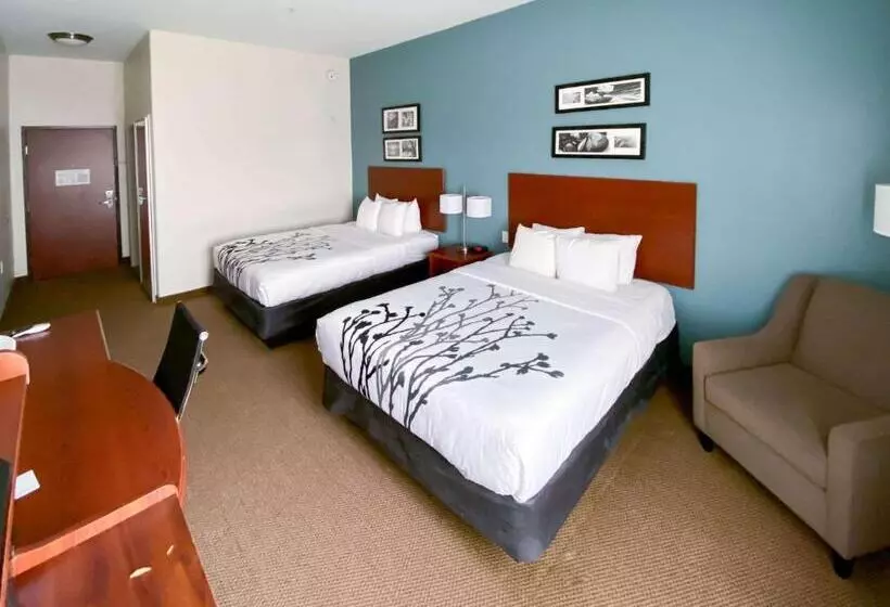 デラックスルーム, Sleep Inn And Suites Pearland   Houston South