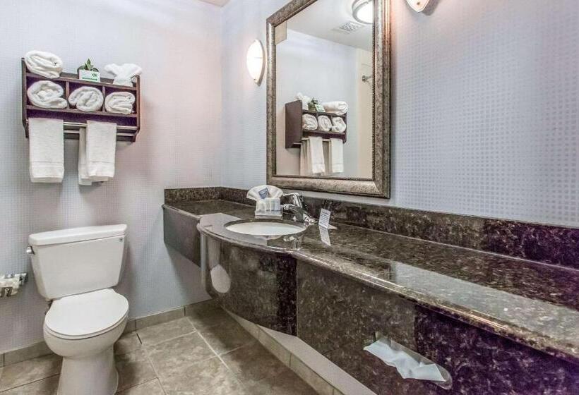 جناح سرير كينج, Sleep Inn & Suites West Medical Center