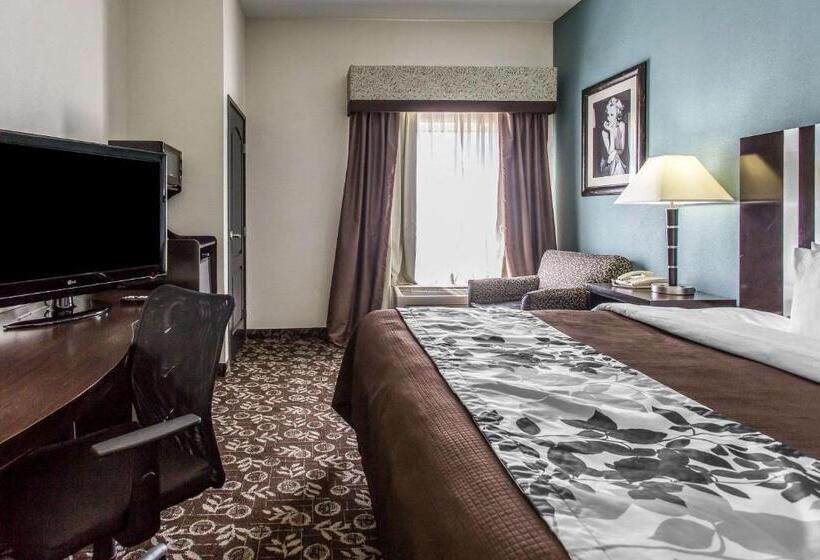 适合残疾人士使用的带超级大床的标准间, Sleep Inn & Suites West Medical Center