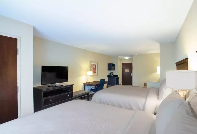 身障者適用スイートルーム, Comfort Suites Mobile South Alabama University Area