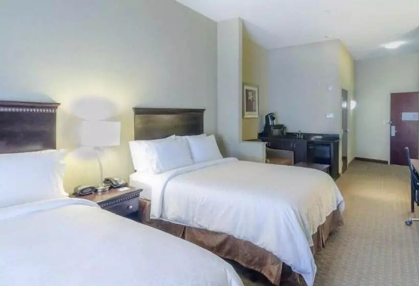 身障者適用スイートルーム, Comfort Suites Mobile South Alabama University Area