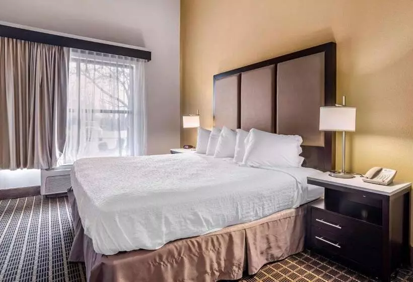 キングサイズベッドのデラックスルーム, Best Western Chesapeake Bay North Inn