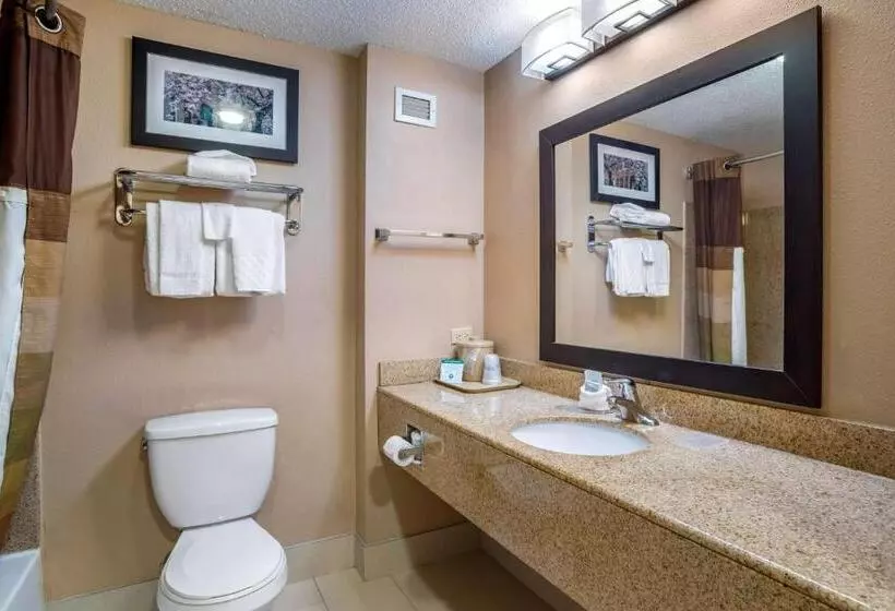 キングサイズベッドのデラックスルーム, Best Western Chesapeake Bay North Inn