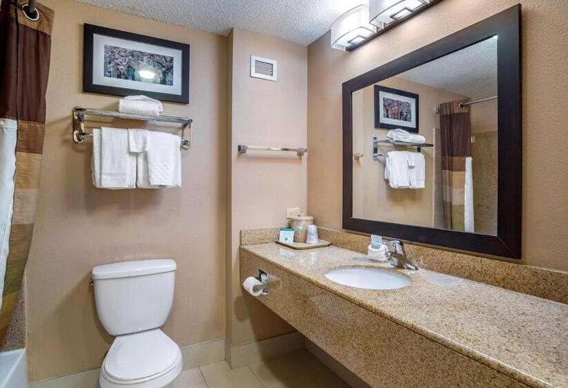 身障者適用キングサイズベッドルーム, Best Western Chesapeake Bay North Inn