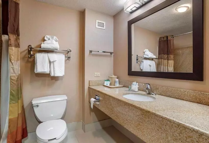 キングサイズベッドのスイートルーム, Best Western Chesapeake Bay North Inn